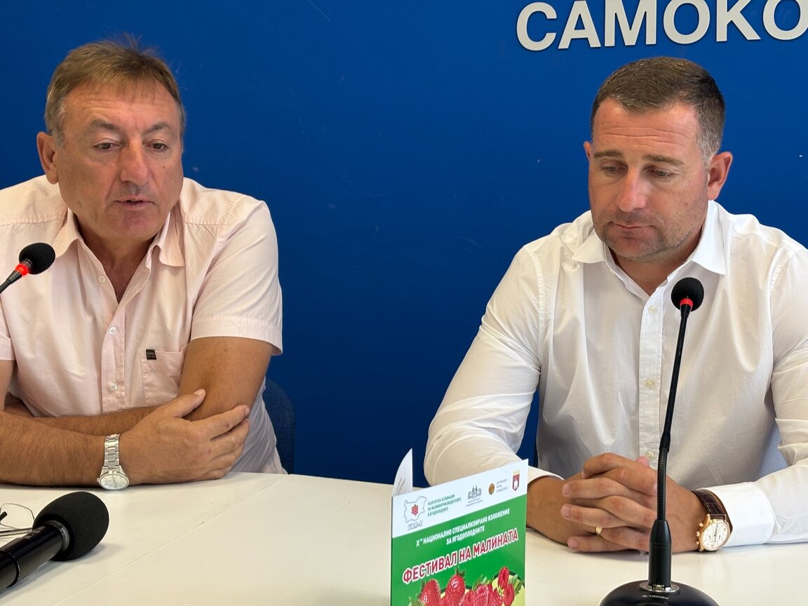 Samokov se convierte en la capital de la frambuesa