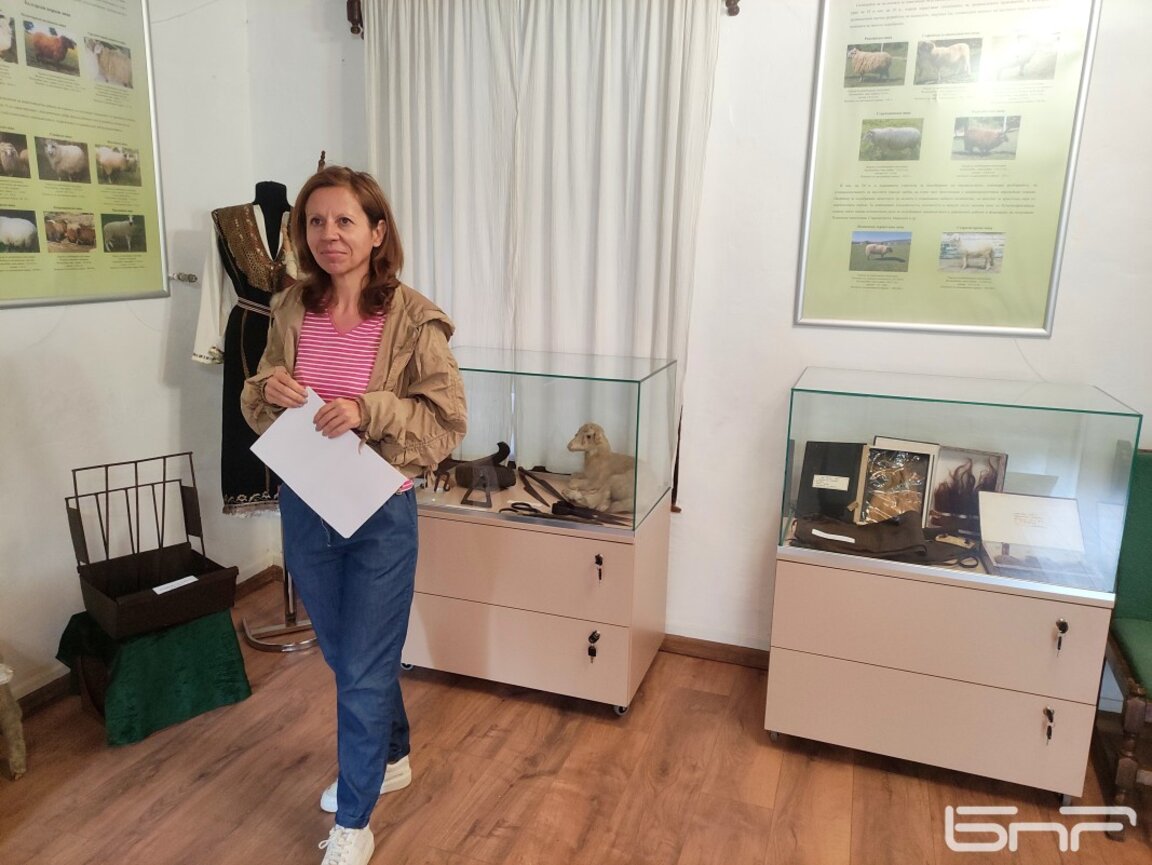 „Ваканция в музея“ организират в Брезник