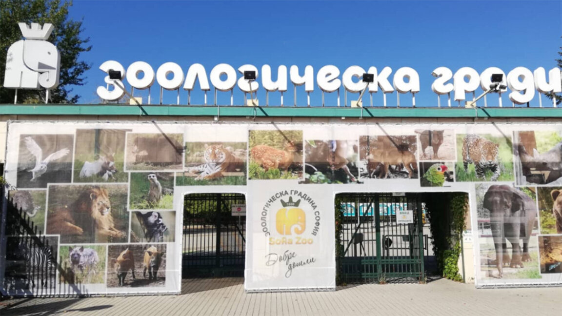 Зообиблиотека събира в София читатели - любители на животните