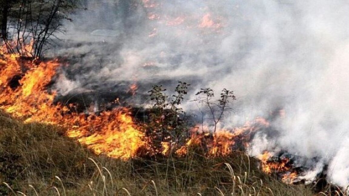 Заради пожара край Песнопой задействаха Bg-Alert