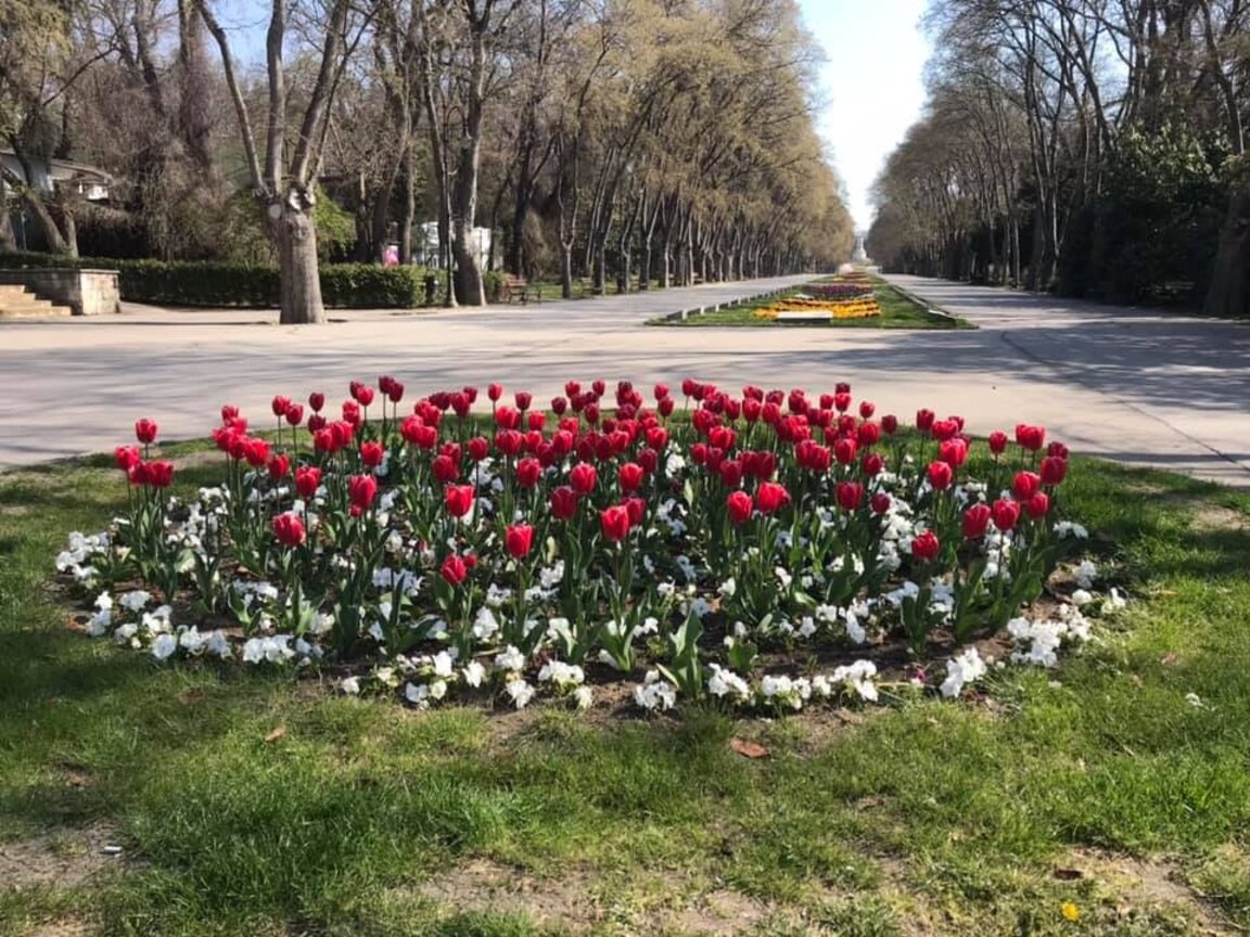 Ухание на пролетни цветя