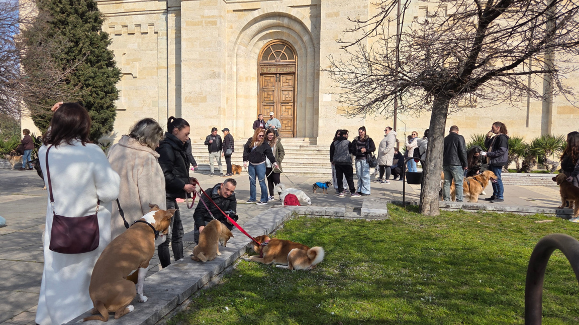 Масова разходка на кучета събра стопани и техните любимци във Варна