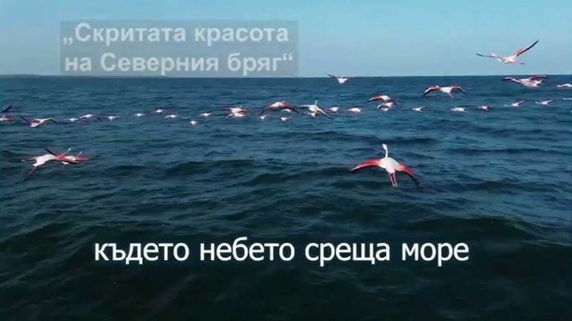 На „Охлюва“ представят филма „Скритата красота на Северния бряг“