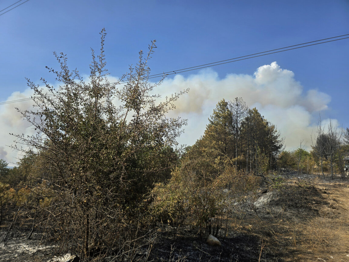Над 12 000 дка засегна пожарът в Пирин