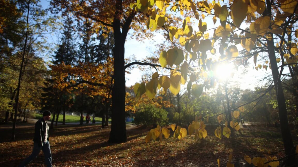Wetteraussichten für Dienstag, den 19. November