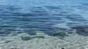 НАТО: Подсилваме наблюдението в Черно море след атаките край България и Румъния