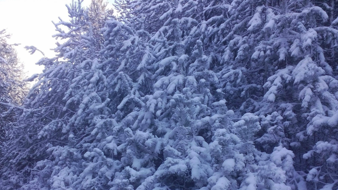 зима