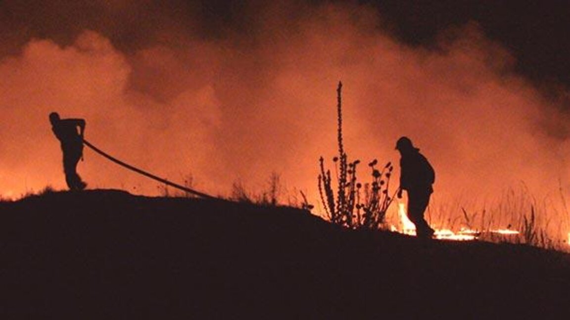 99% от горските пожари са в резултат от човешка небрежност