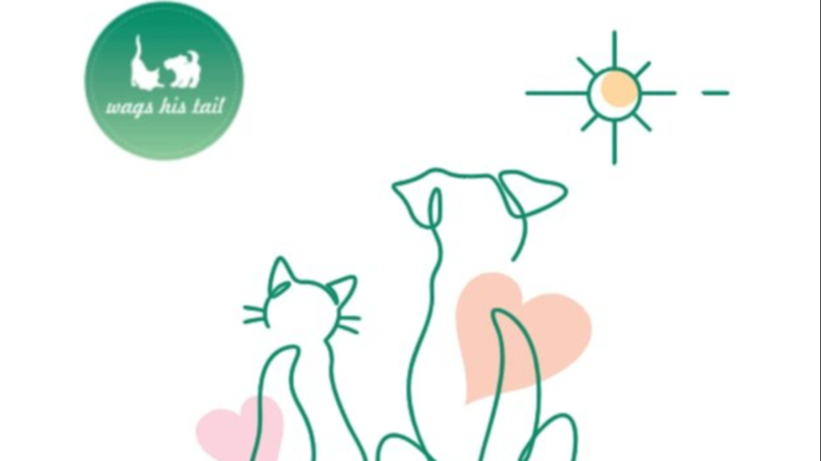 Благотворителен концерт в подкрепа на животните ще се състои в Сливен