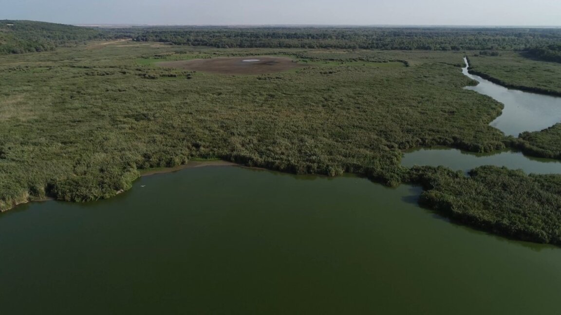 Сериозна заплаха за резервата "Сребърна"  заради ниското ниво на водата в езерото
