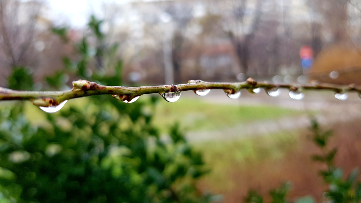 Wetteraussichten für Dienstag, den 29. September