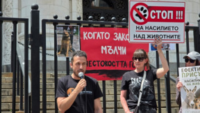 Пореден протест с искане за сериозни присъди за Габриела и Красимир