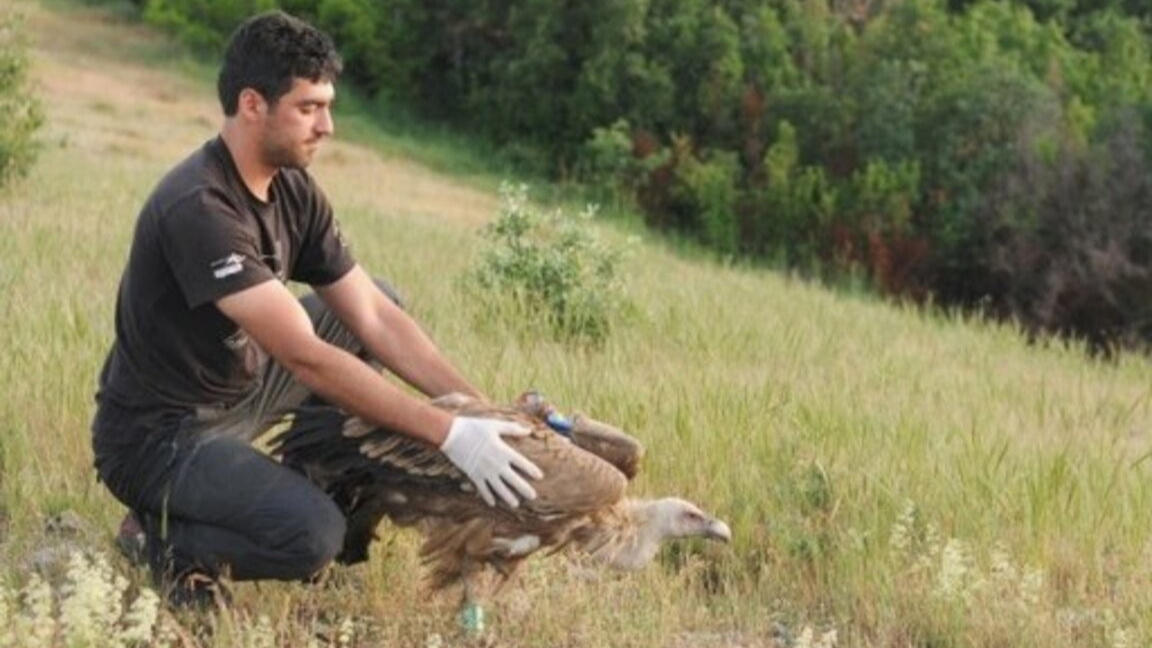 Петиция събира подписи срещу ветрогенера...