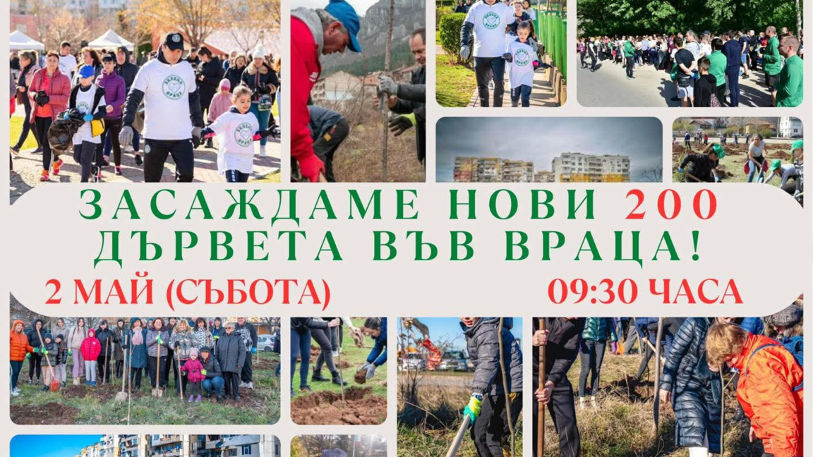 Засаждат дръвчета във Враца