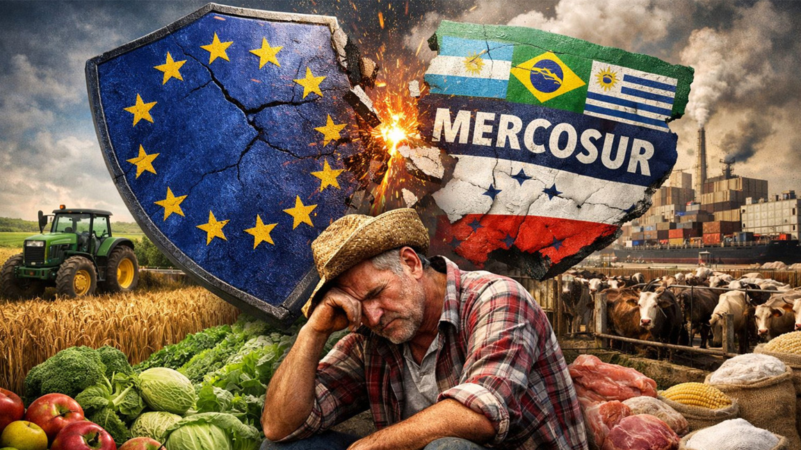 Камара "Плодове и зеленчуци": Сделката с Меркосур е удар по земеделието на ЕС