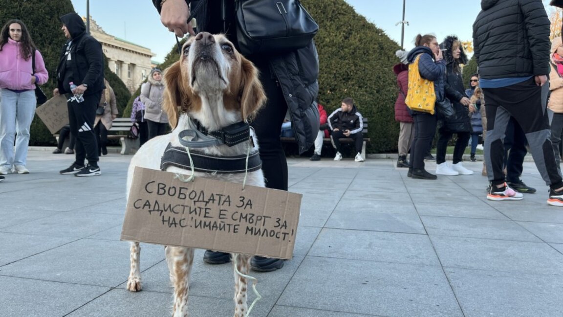 Протест срещу жестокостта към животните в Русе