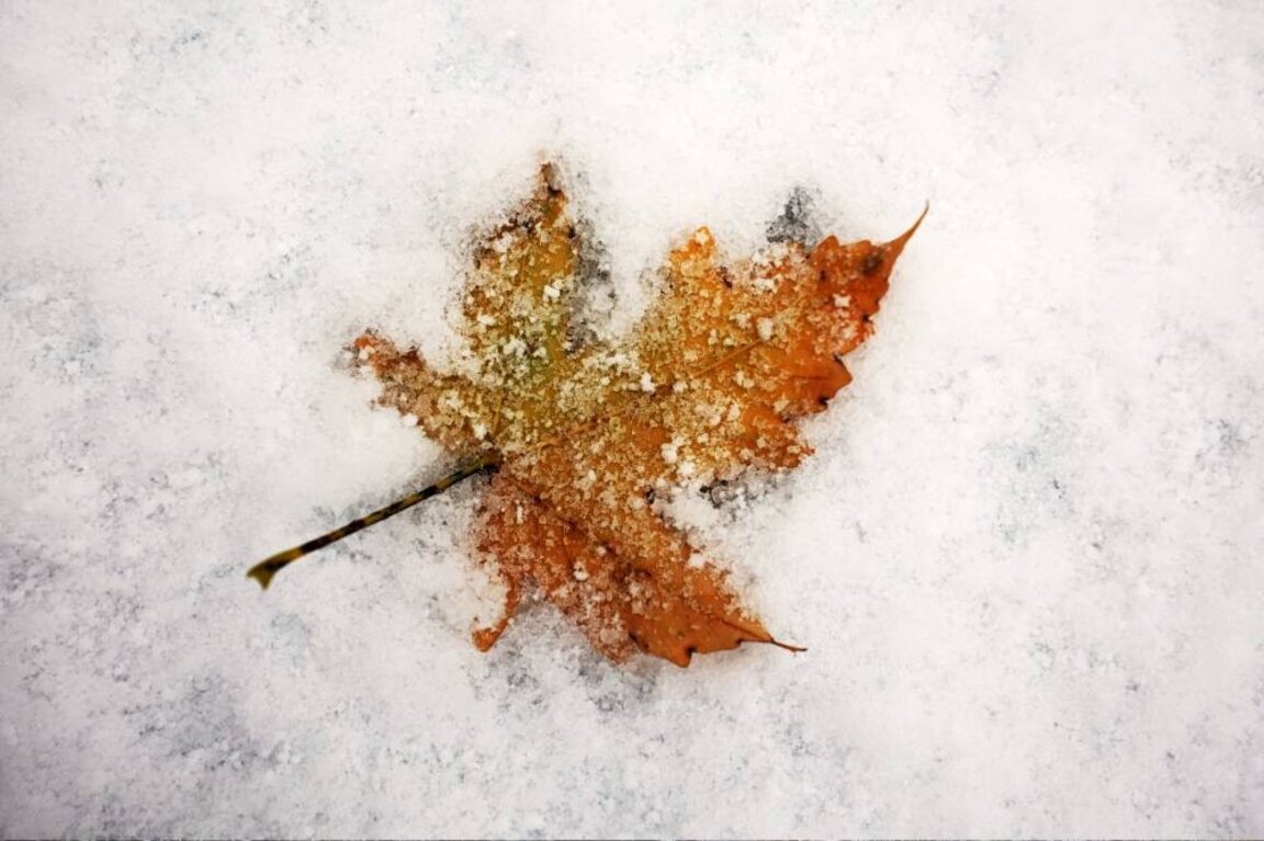 Première neige à Sofia...