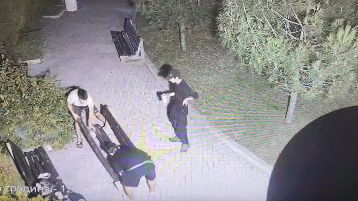 Издирват се младежи за вандализъм в Борисовата градинка - ВИДЕО