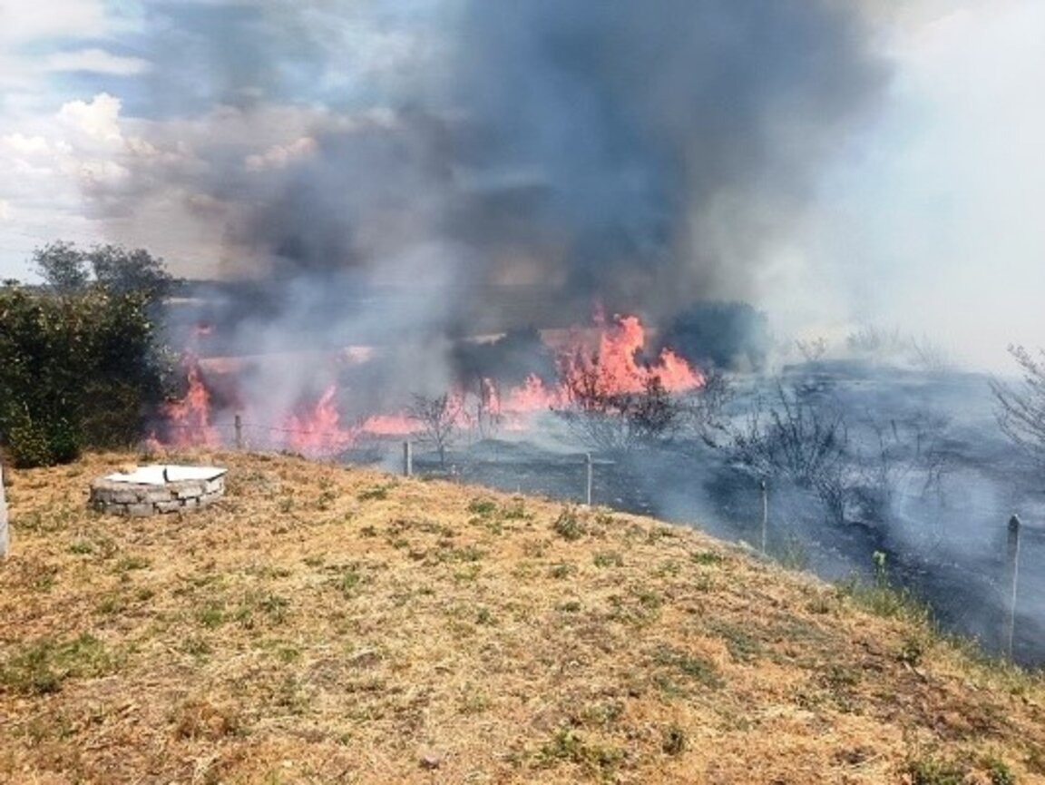 Сухи треви, растителност и стърнища горят край Ветрен