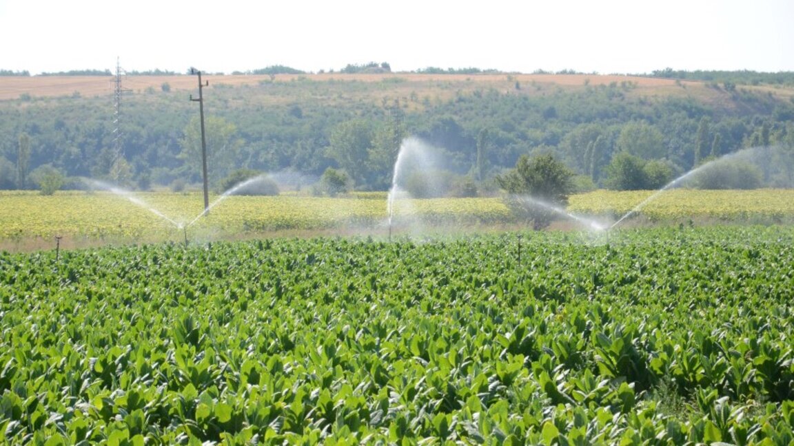 Осигуриха допълнителни количества вода за поливни нужди в земеделието за юли