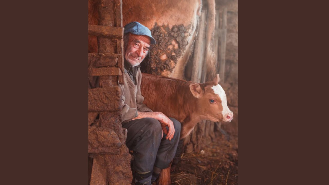 Fotografia e Nenad Stoimenovit nga Bosilegradi në TOP 10 të RuralFoto