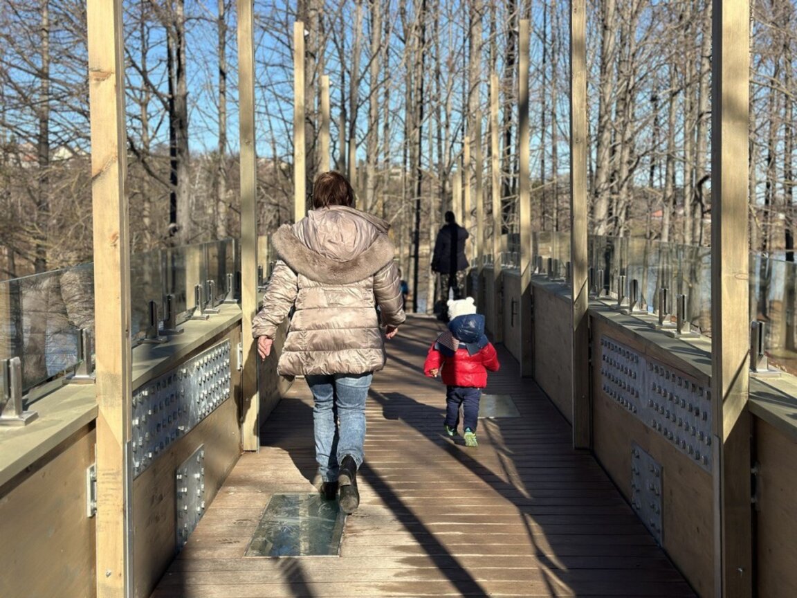 Нов мост в парка