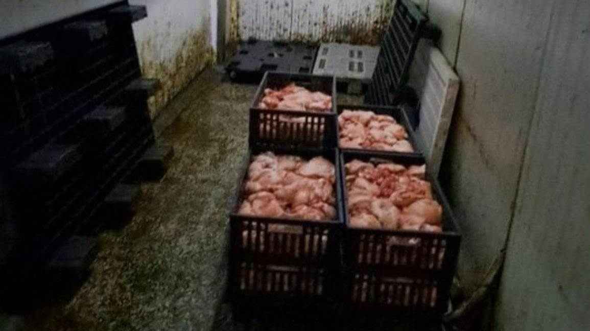 БАБХ откри 800 агнета без здравна маркировка в месокомбинат в Свищов