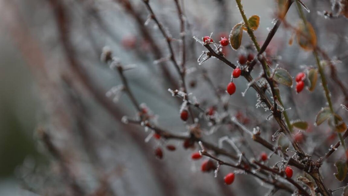 Wetteraussichten für Mittwoch, den 22. Januar