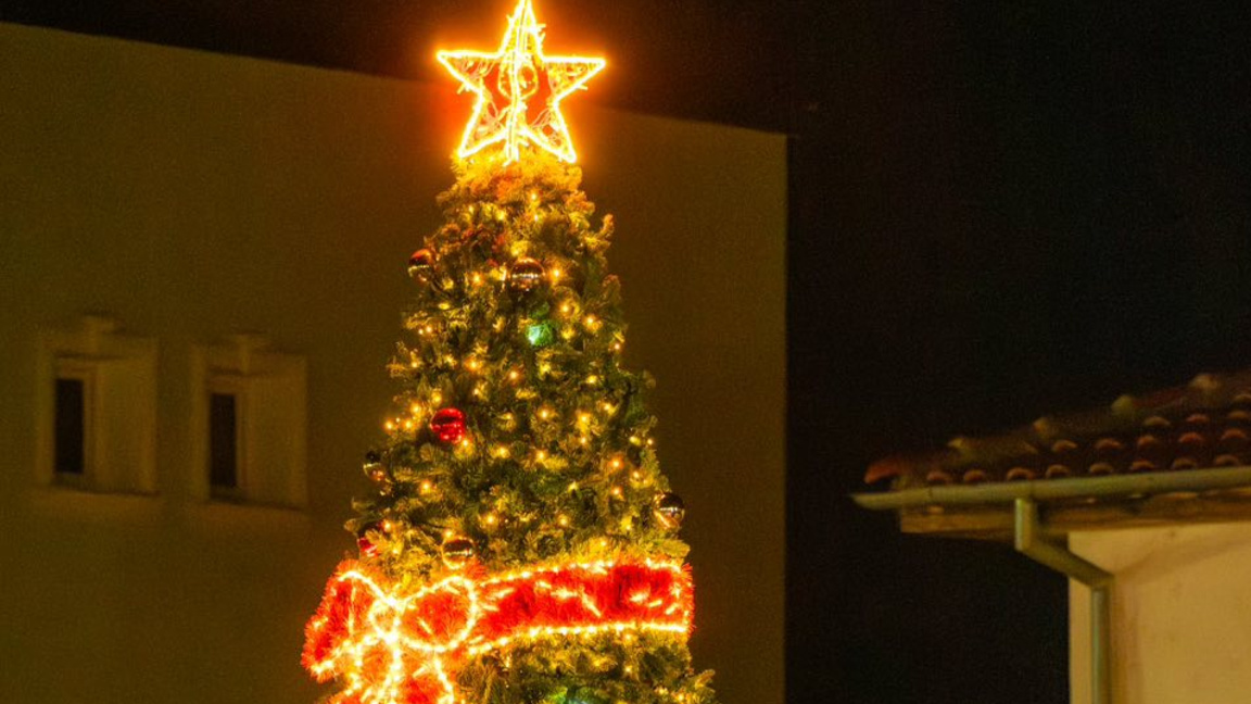 Коледната елха в гр.Гурково