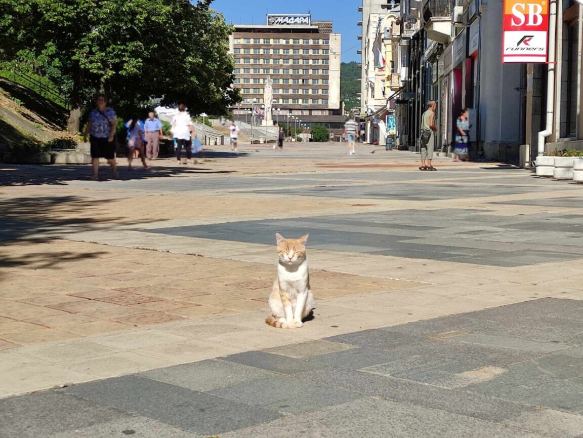 Слънчев петък
