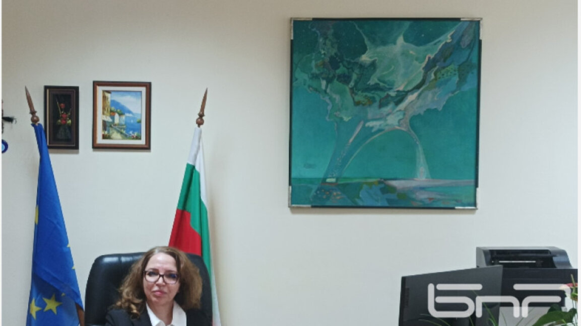 Нериман Сали: За здравни вноски, които не са направени в срок, се начислява  лихва
