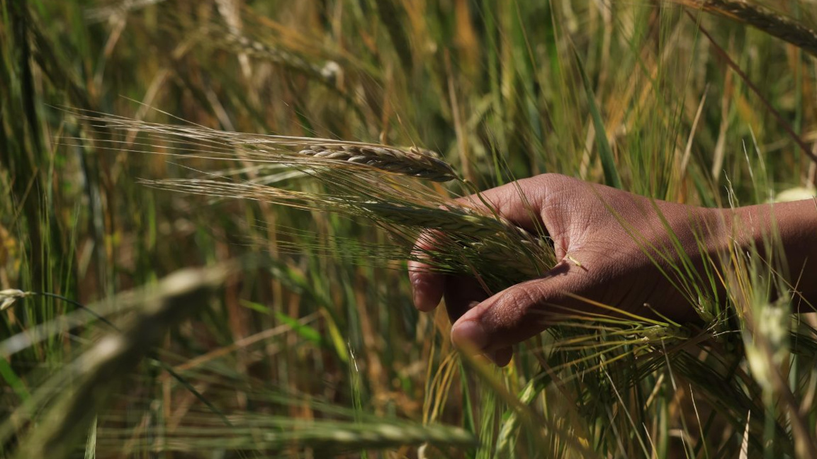 Agricultural trade is in the red for the first time in two decades
