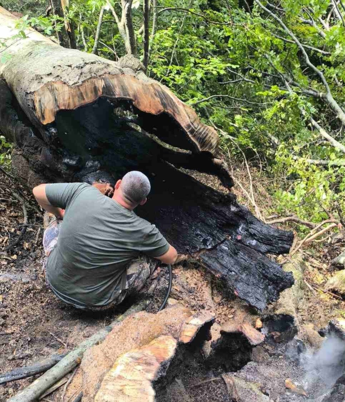 И днес продължават усилията за овладяване на пожара в Национален парк „ Рила“