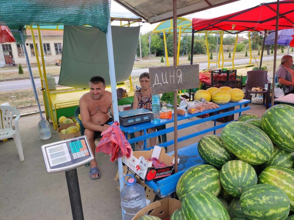 Добра реколта от плодове и зеленчуци в ямболското село Зимница