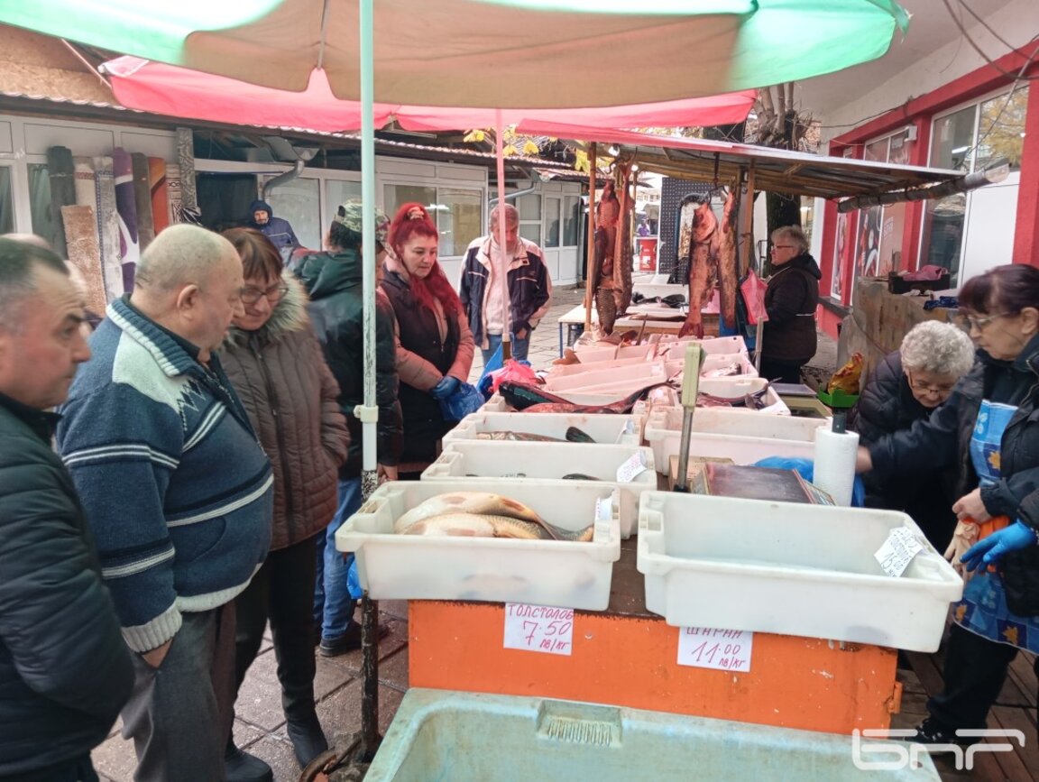 Изобилие от жива риба на пазара в Монтана за Никулден