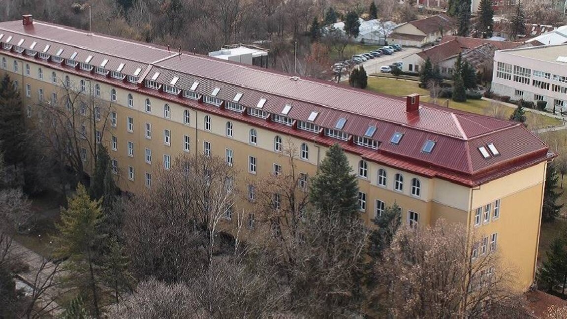 Лесотехнический университет