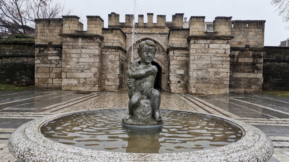 "Момчето с рибката" предизвика дебати във Видин