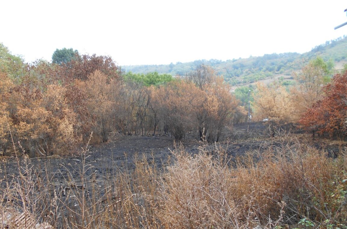 Снимка: община Стара Загора