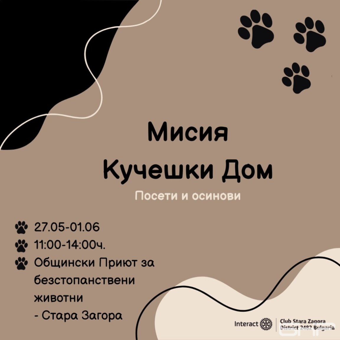 Младежи с "Мисия Кучешки дом"