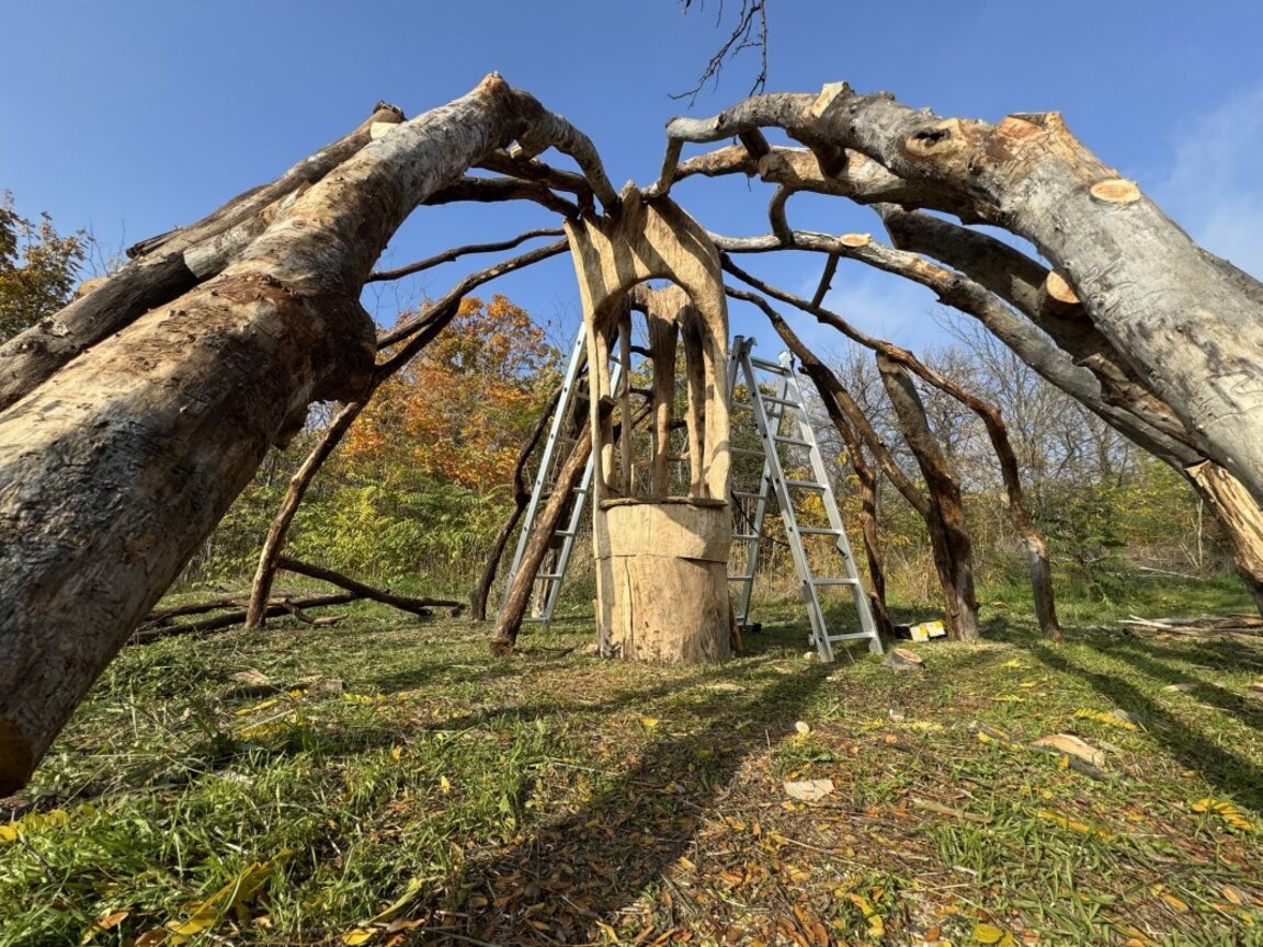 Работа ан румен Димитров - Попа