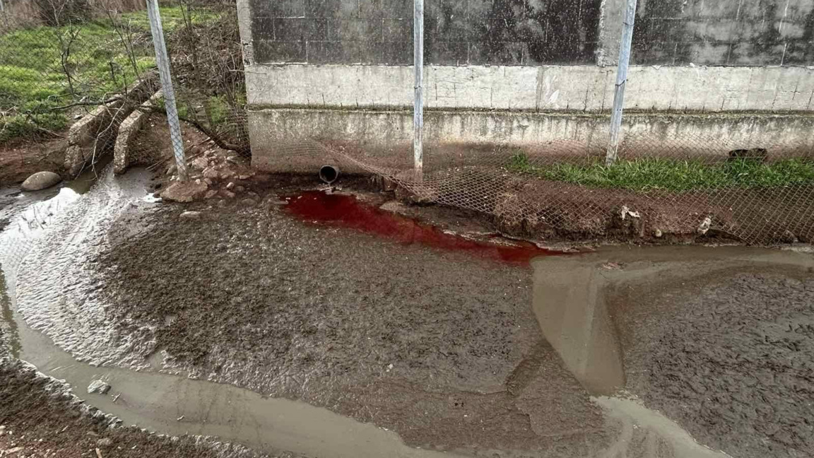 Проверка на БАБХ е установила замърсяване на река Лесидренска