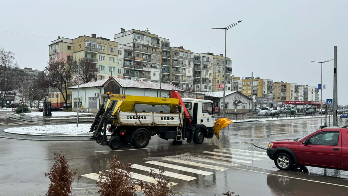 Снегорин във Видин