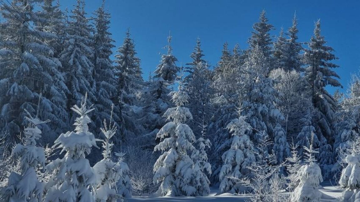 Météo : Soleil et douceur…