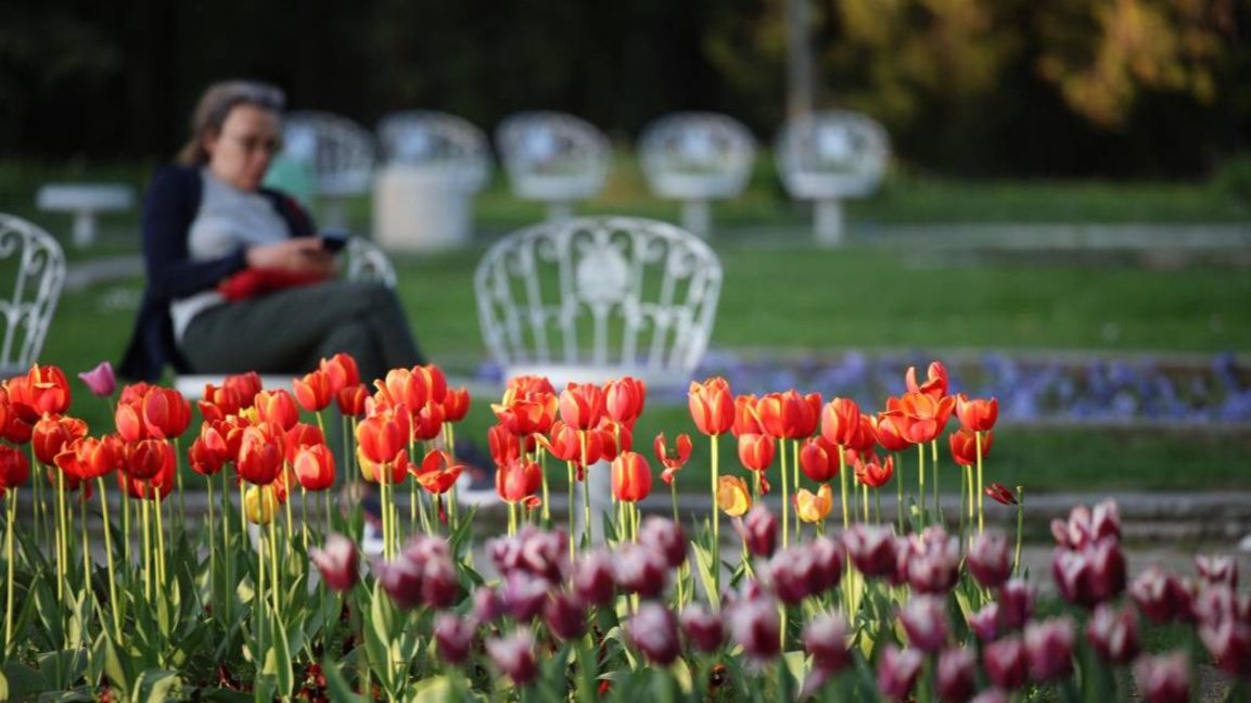 Слънчево и топло ще е времето в неделя