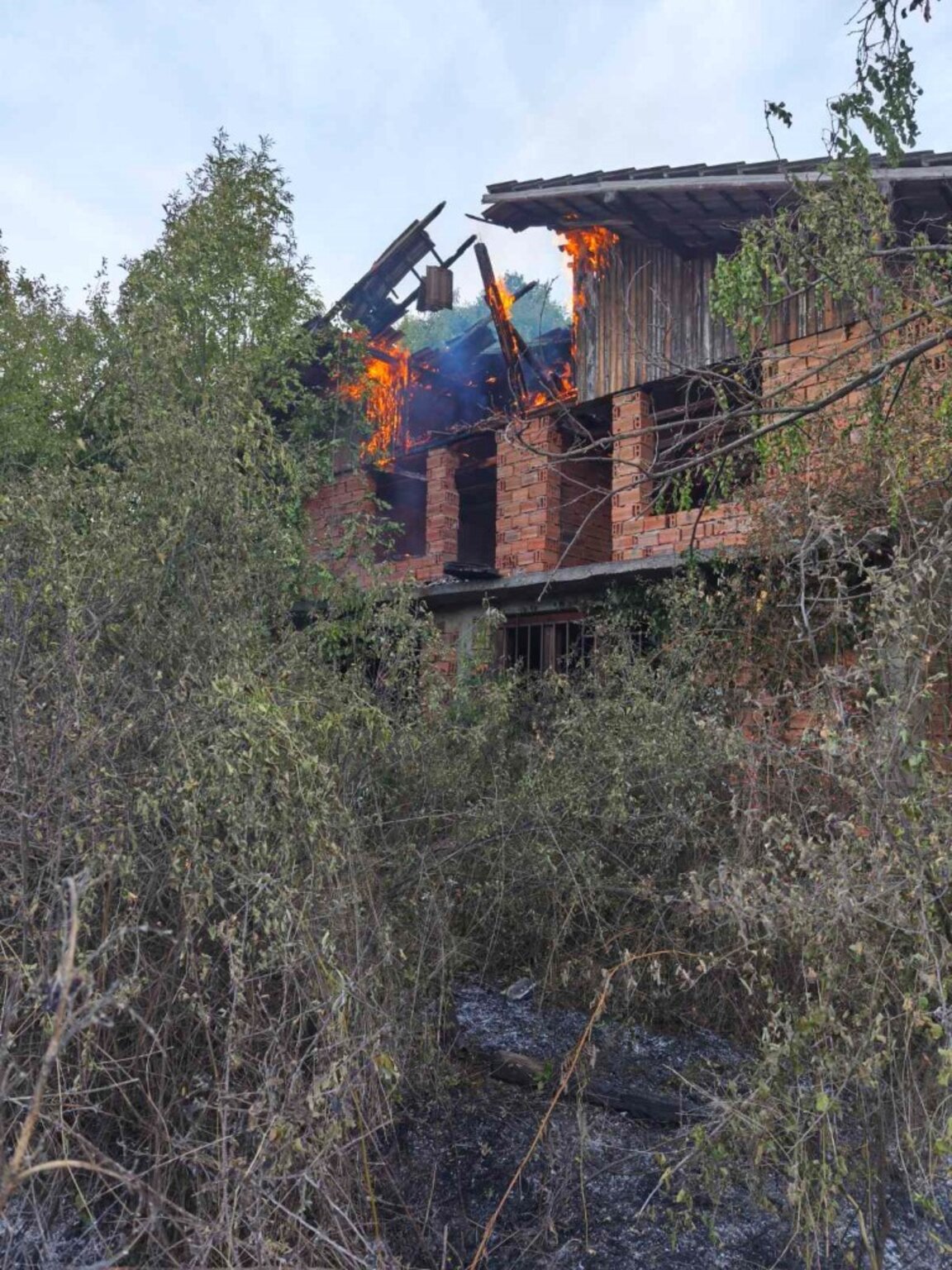 Овладян е пожарът край Чипровци