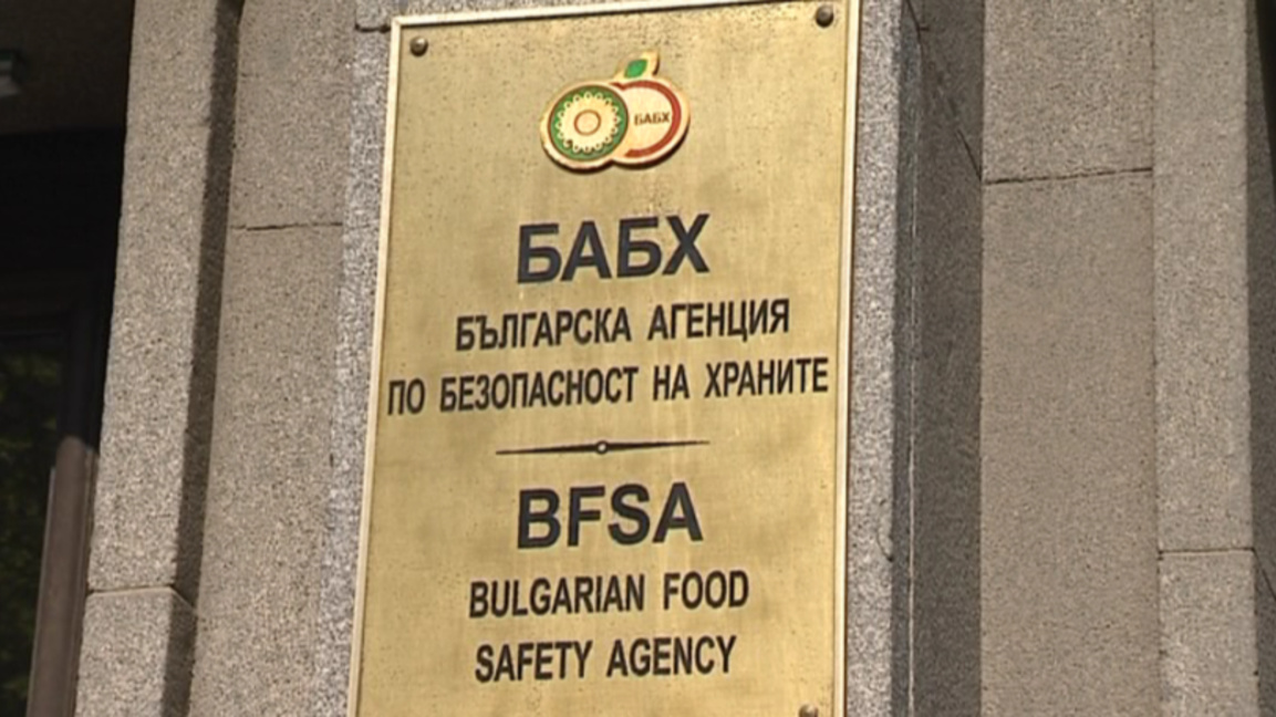 12 огнища на шарка по овцете в област Пловдив все още не са ликвидирани