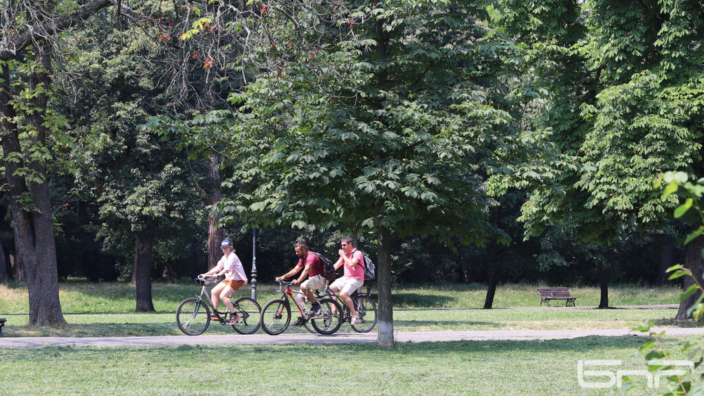 Васил Терзиев: Нова зелена растителност ще бъде засадена в най-уязвимите точки на столицата