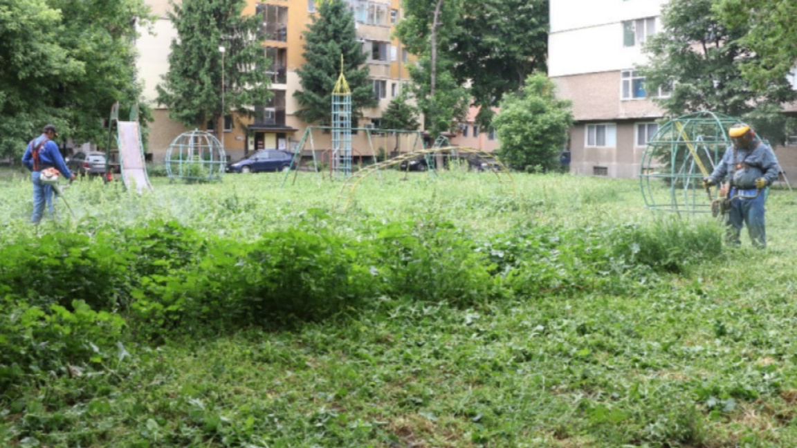 До дни всички тревни площи в Стара Загора ще бъдат окосени