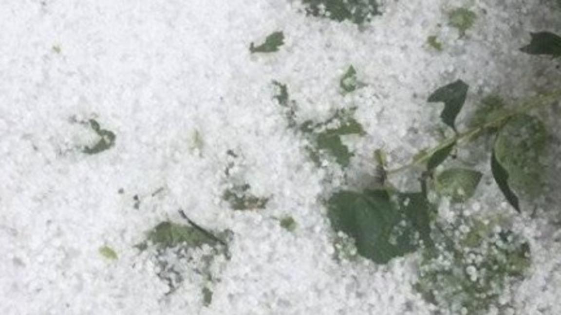 Снимката е илюстративна, архив.