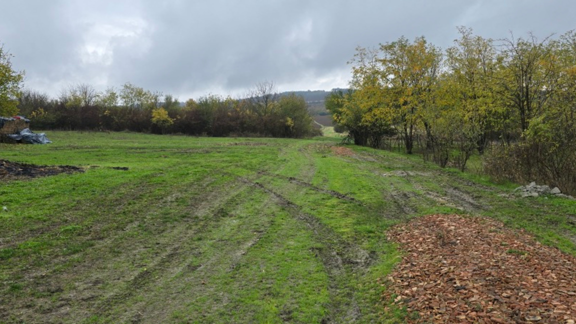 Имот на публична продан в Добри дял